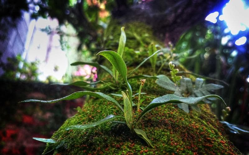 Global Economic Shifts and Their Impact on Businesses