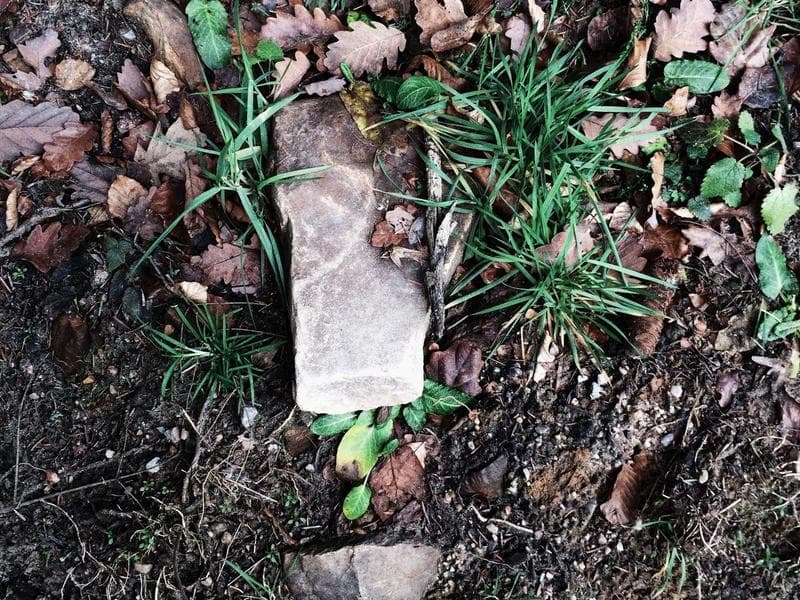 Global Economic Shift: The Rise of Sustainable Investing