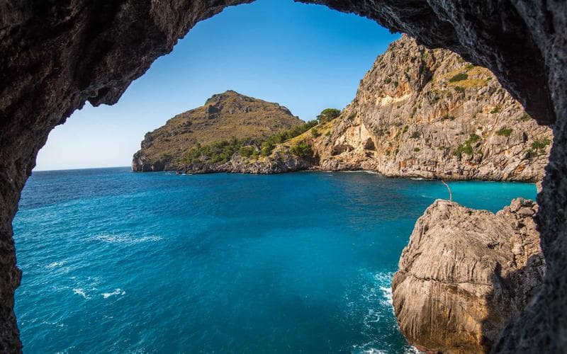 Revolutionizing the Future: Artificial Intelligence and Machine Learning